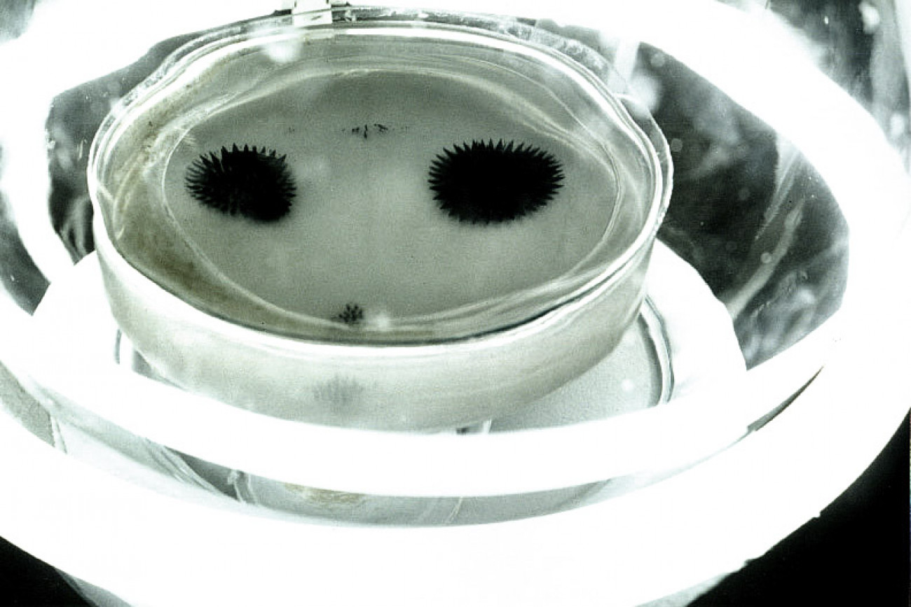 Frank Blum Selected Works Isolator Magnetique